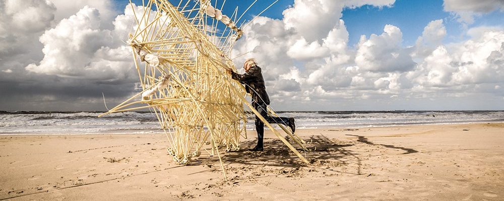 Creativiteit in vormgeving en techniek: strandbeesten van Theo Jansen