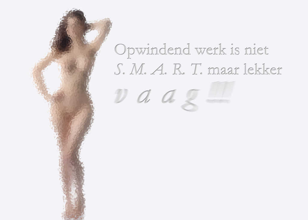 Opwindend werk is niet S.M.A.R.T. maar lekker vaag 7 Waarom-SMART-niet-lekker-werkt---Fernweh_nu