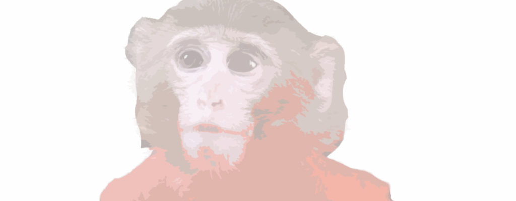 Spacemonkeys – Niet over leidinggevenden maar over ontvangers van leiding