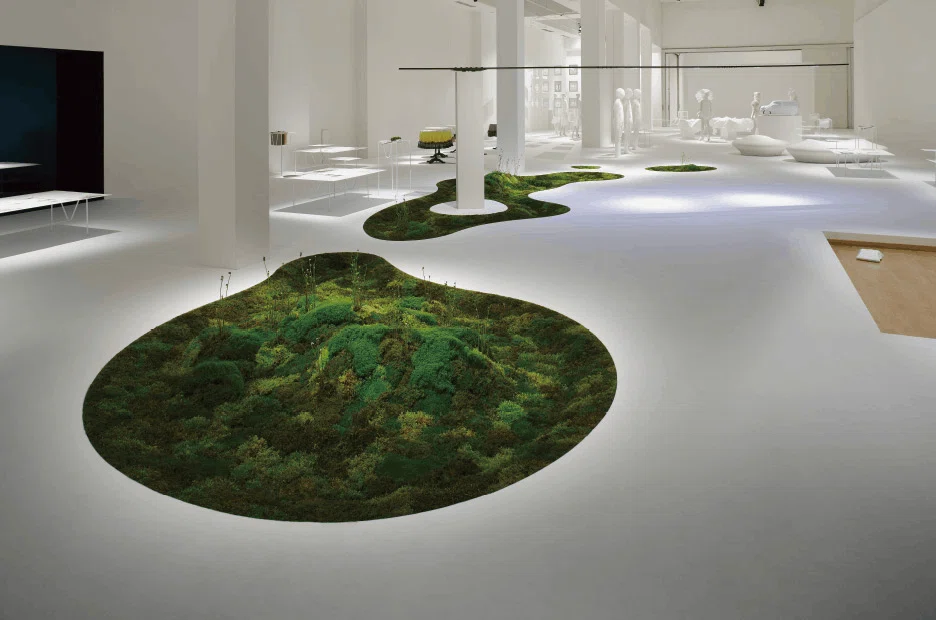 De luxe van leegte in Japan: over Ma, stilte en de schoonheid van ruimte